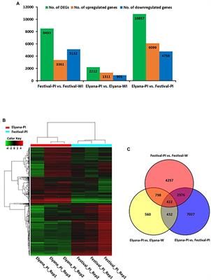 Comparative Transcriptome Analysis to Identify Candidate Genes for FaRCg1 Conferring Resistance Against Colletotrichum gloeosporioides in Cultivated Strawberry (Fragaria × ananassa)